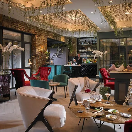 Hotel The Rose