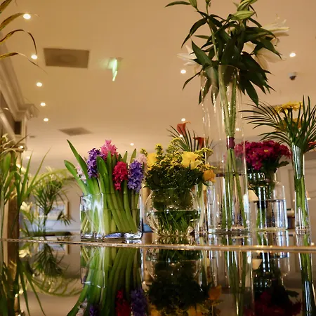 Hotel The Rose