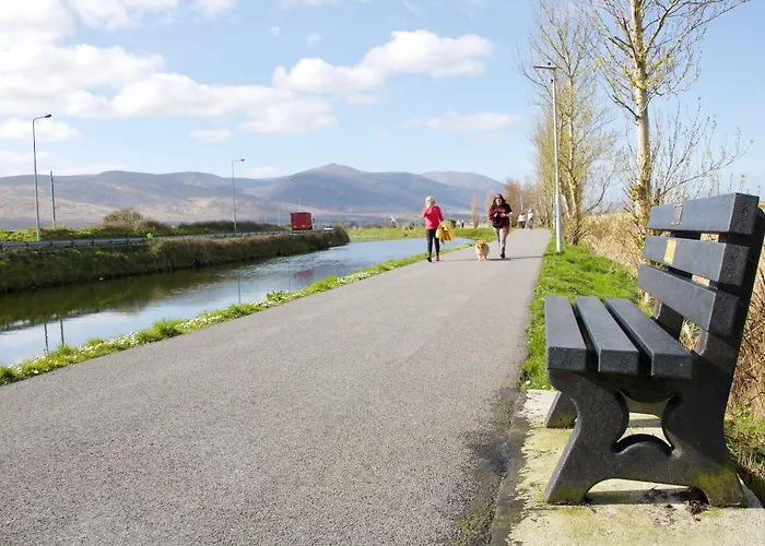 Отель The Rose Трали